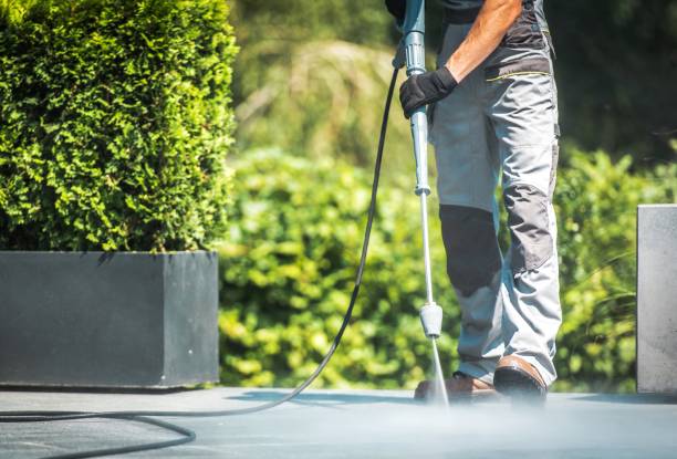 Best Dumpster Area Cleaning  in Friona, TX