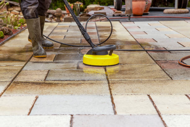 Best Boat and Dock Cleaning  in Friona, TX