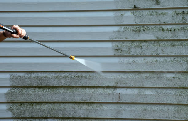 Best Driveway Pressure Washing  in Friona, TX